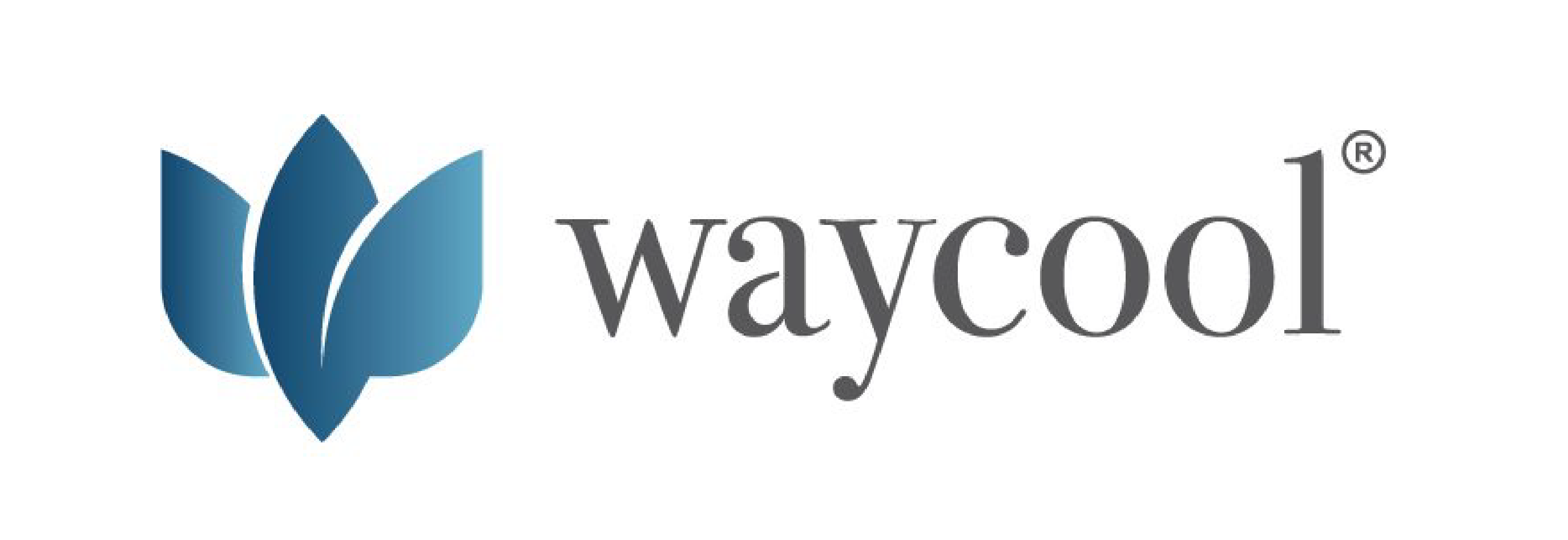 Waycool logo