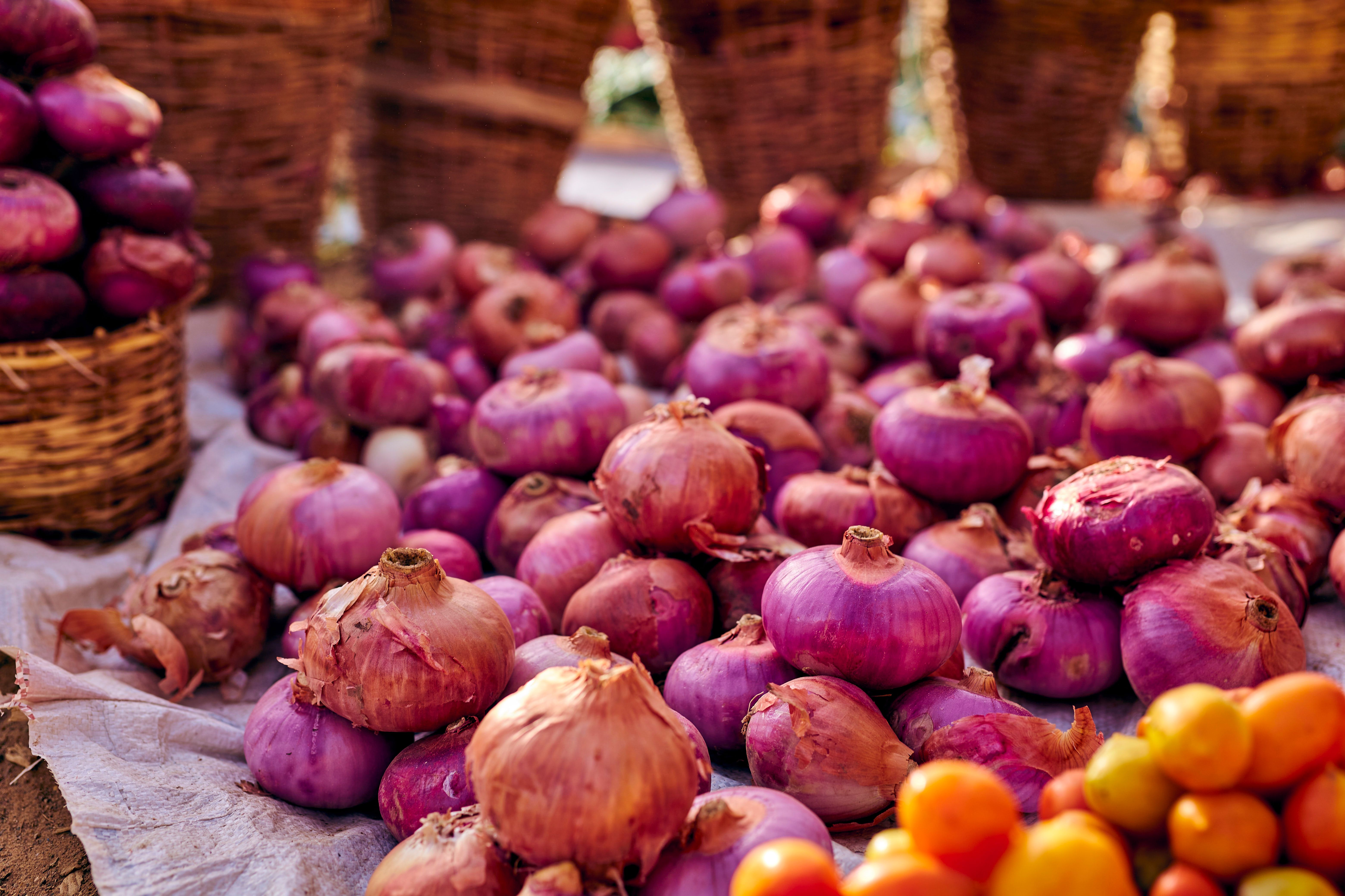 onion harvest