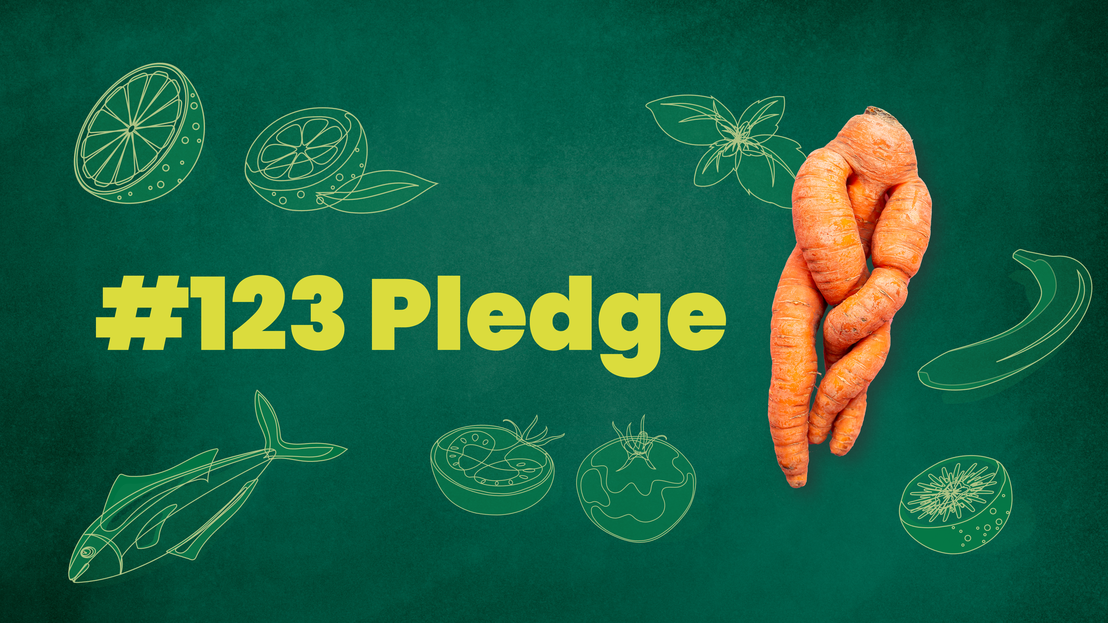 123 Pledge on green background