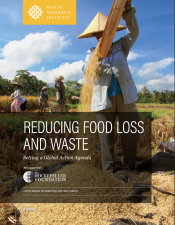 Cover image for Reducing Food Loss and Waste: Setting a Global Action Agenda pdf