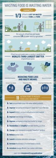 Wasting Food is Wasting Water Infographic