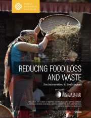 Cover image for Reducing Food Loss and Waste: Ten Interventions to Scale Impact pdf
